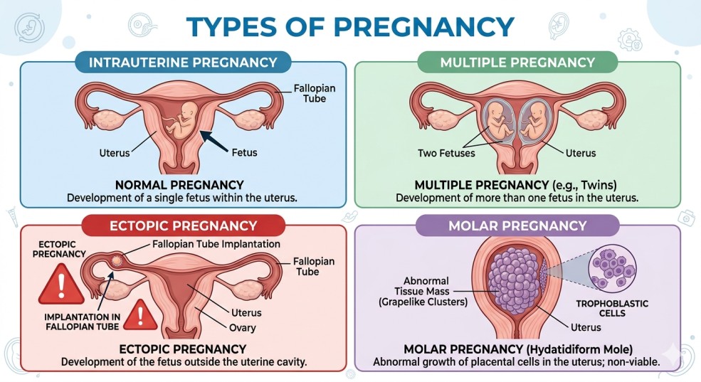 Types of Pregnancy